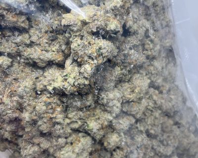 BISCOTTI GAS (EXOTIC QUAD DEAL) - Image 5